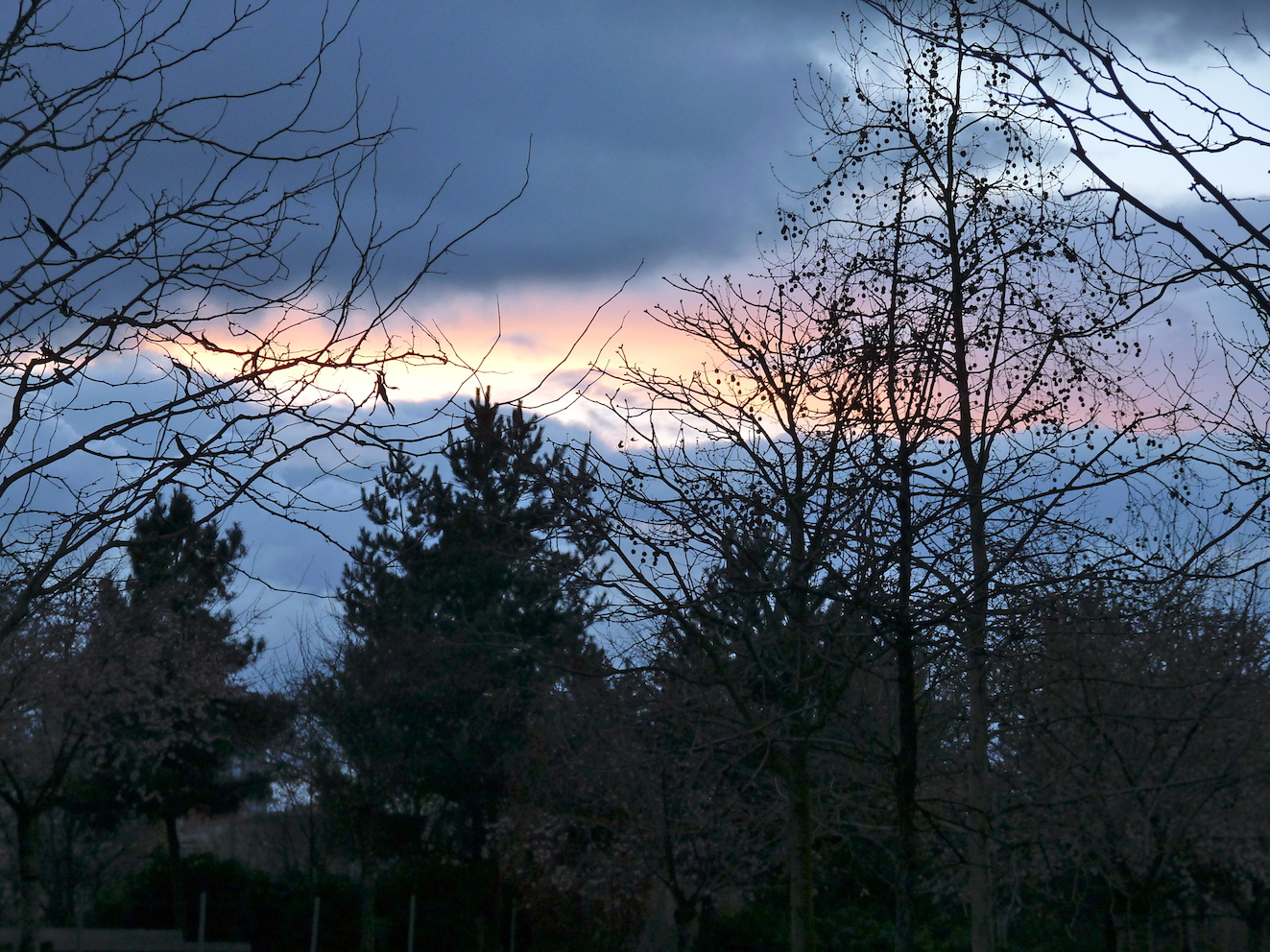 Ciel chargé sur le Parc Clichy-Batignolles