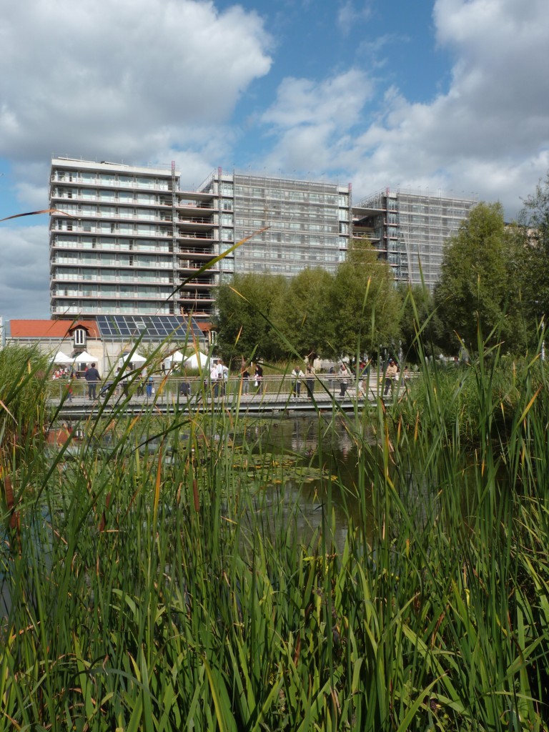 Parc 17 depuis l'extrémité des bassins du Parc Martin Luther King