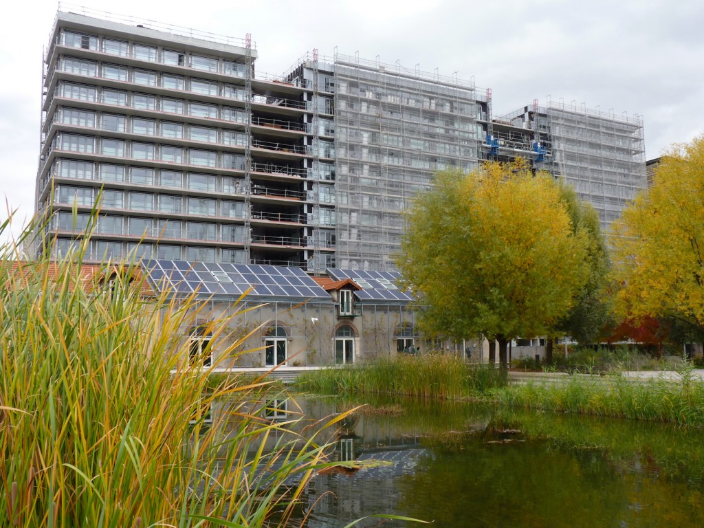 Parc 17 depuis les bassins